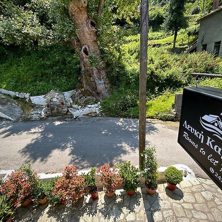 Hotel Λευκή Καμέλια Anilio Pelion Exterior foto