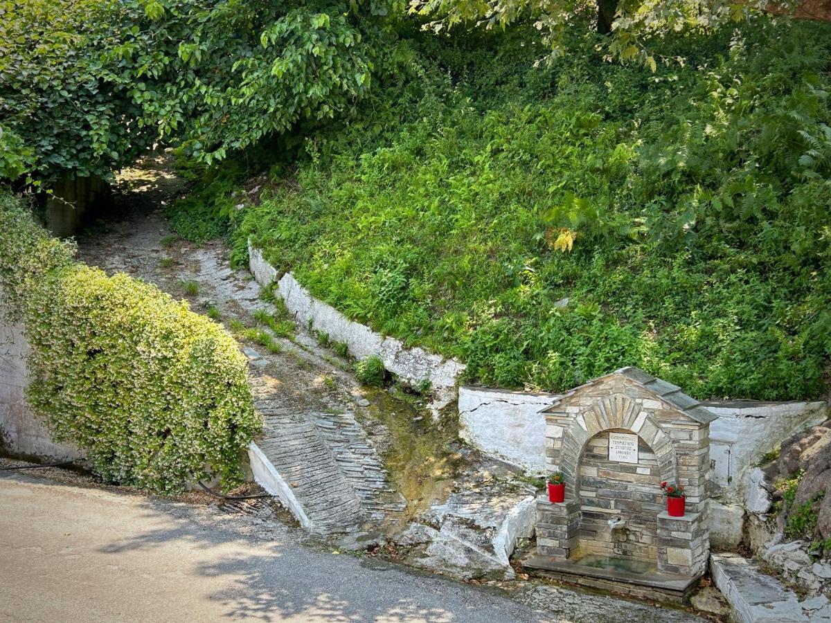 Hotel Λευκή Καμέλια Anilio Pelion Exterior foto