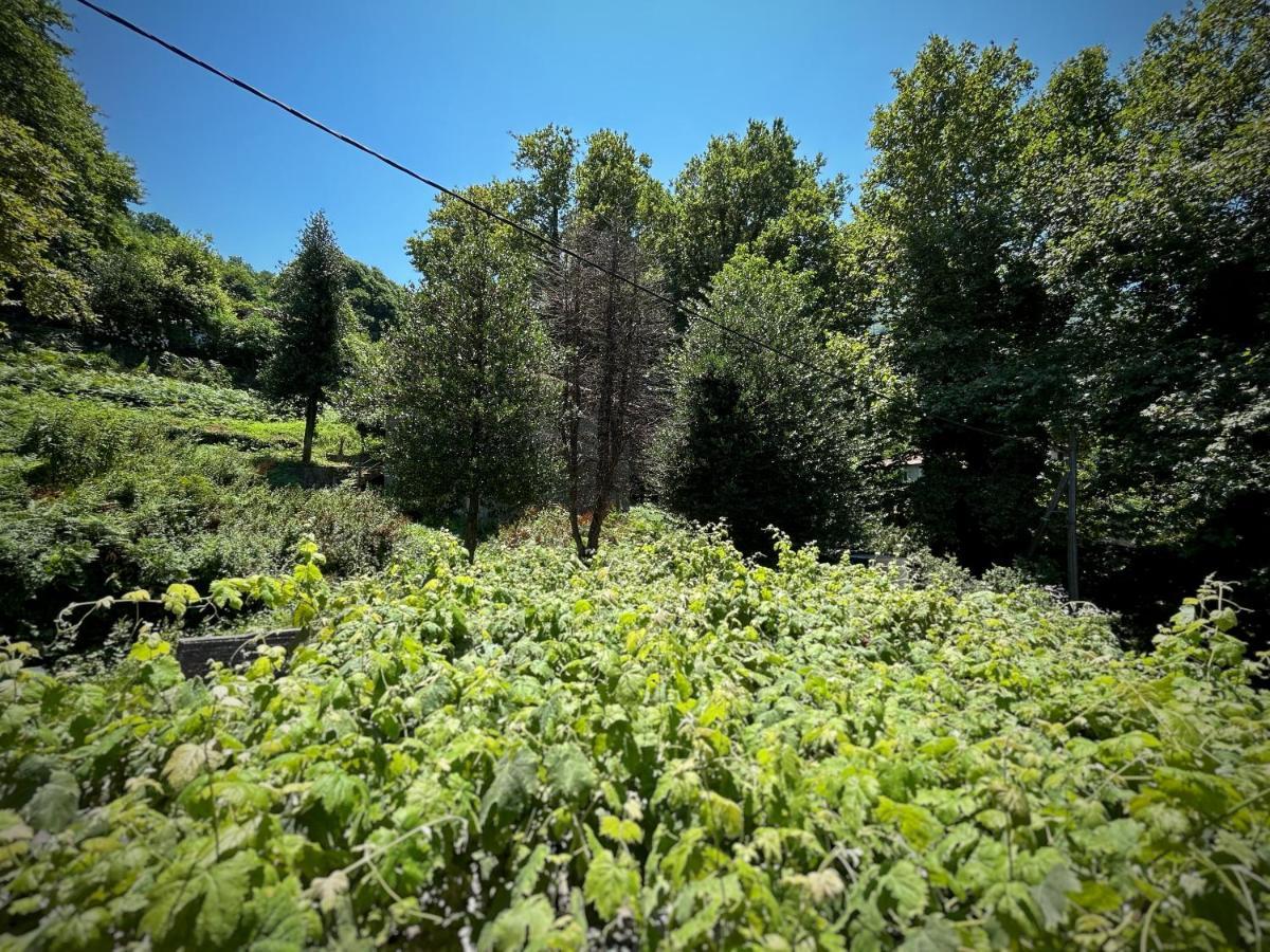 Hotel Λευκή Καμέλια Anilio Pelion Exterior foto
