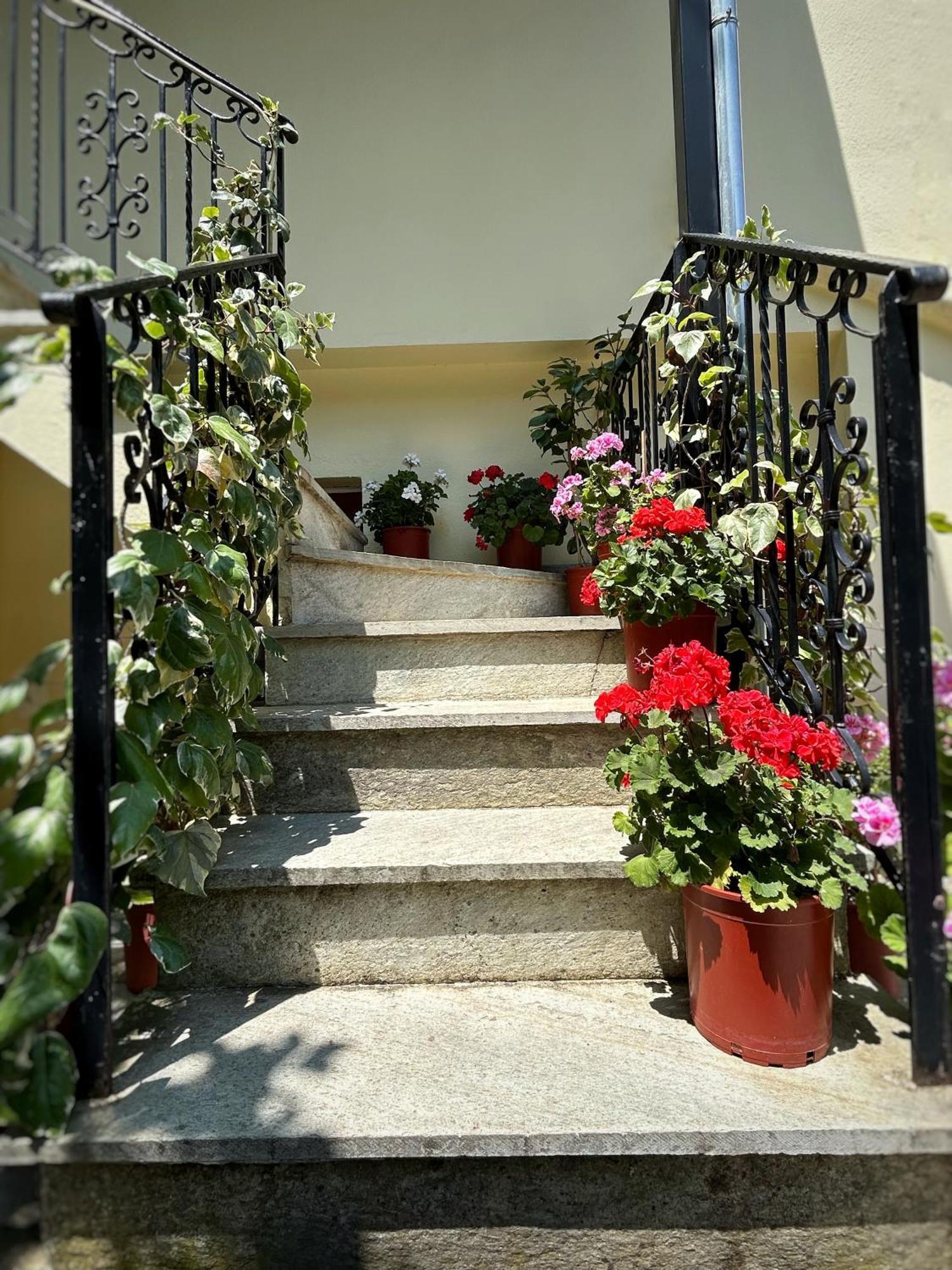 Hotel Λευκή Καμέλια Anilio Pelion Exterior foto