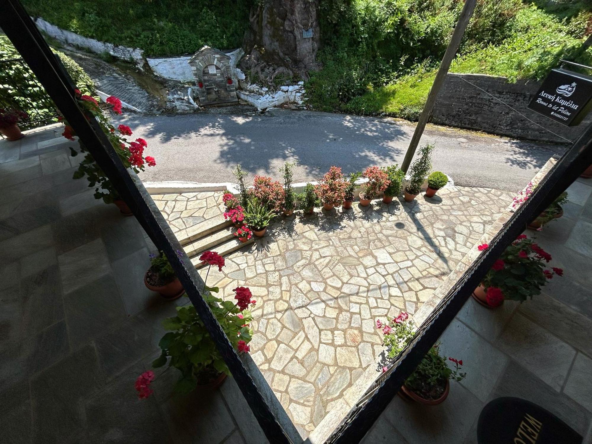 Hotel Λευκή Καμέλια Anilio Pelion Exterior foto