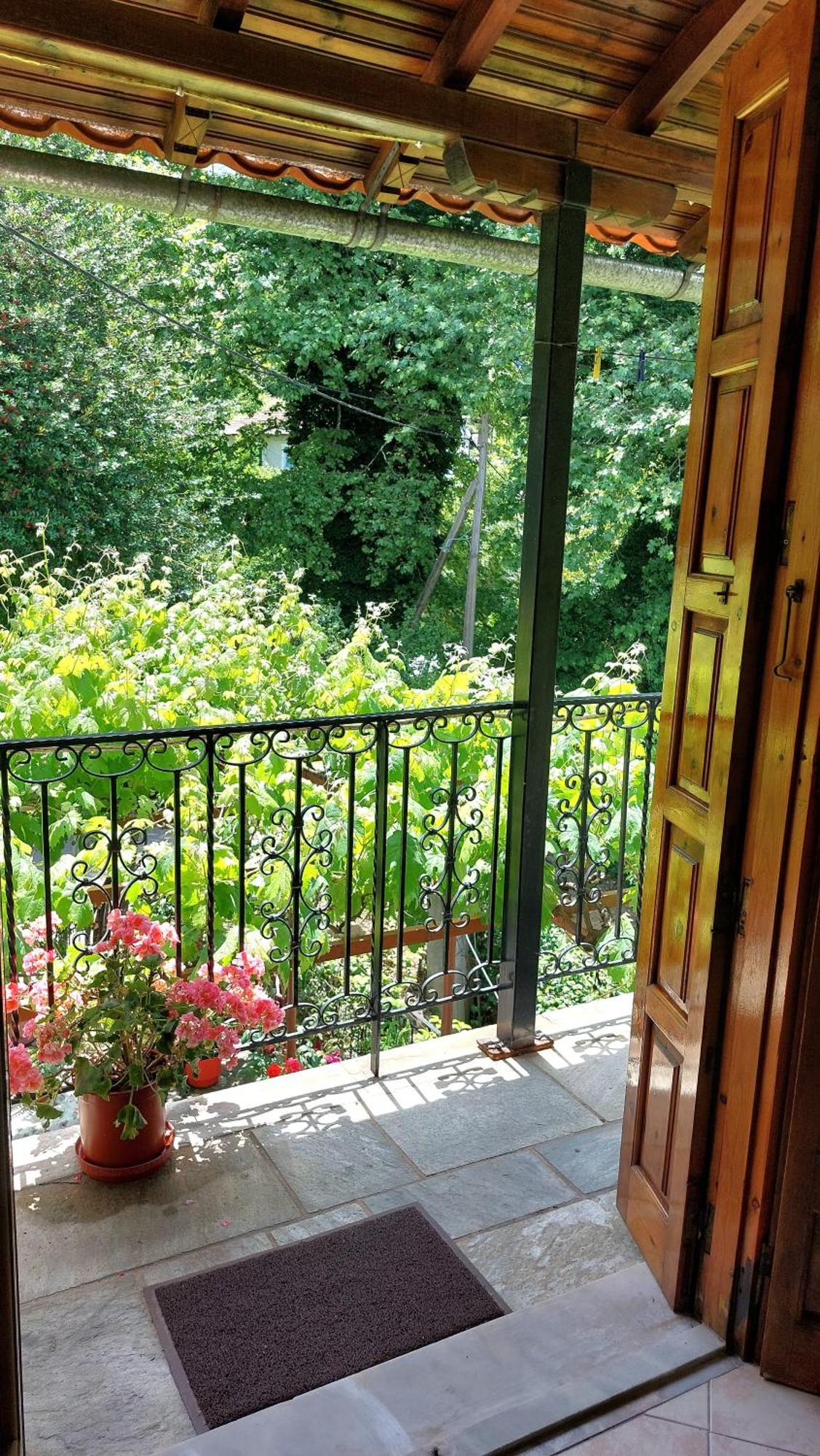 Hotel Λευκή Καμέλια Anilio Pelion Exterior foto